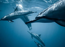 开云体育官网：以科技点亮体育热情，打造更懂你的在线投注平台